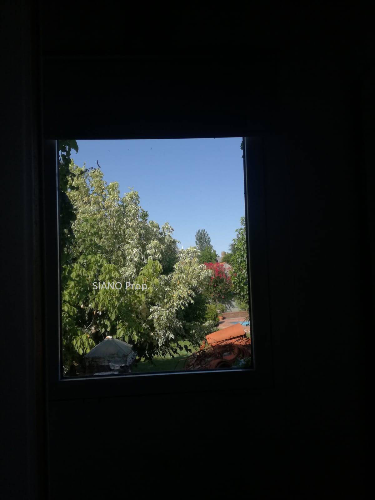 Vista1
